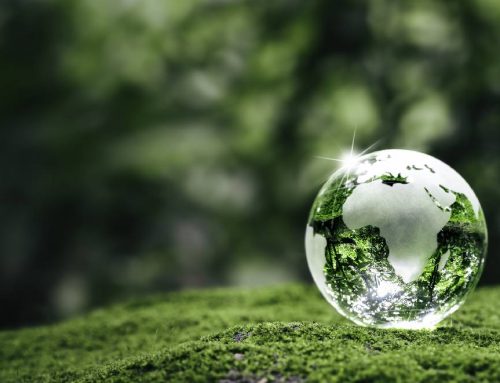 Sustainable Window Manufacturing: Oknoplast’s Commitment to Eco-Friendly Practices
