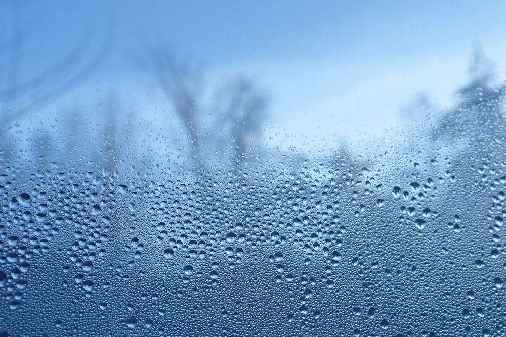 window-condensation